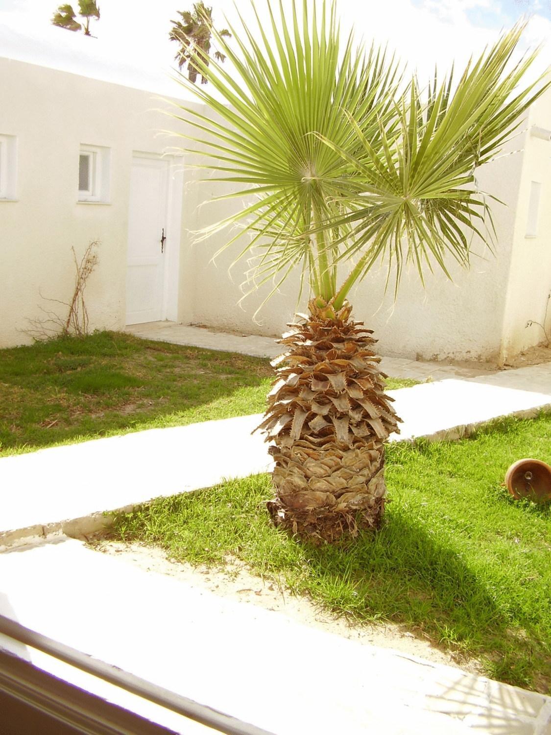 Hotel El Andalous Sulaymān Exterior foto